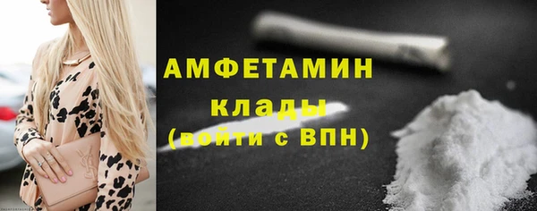 гидра Кулебаки