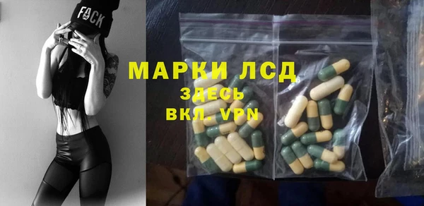 PSILOCYBIN Краснослободск
